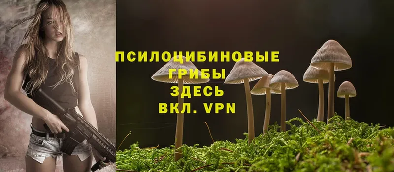 Псилоцибиновые грибы MAGIC MUSHROOMS  Кизляр 